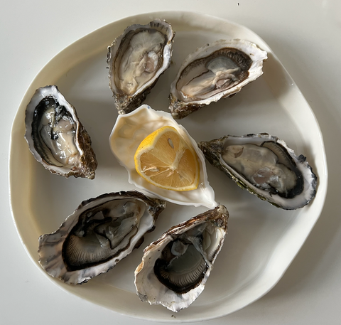 HOUSE OF OYSTERS HANDMADE MONT BLANC PORZELLAN AUSTERNTELLER GROSS
