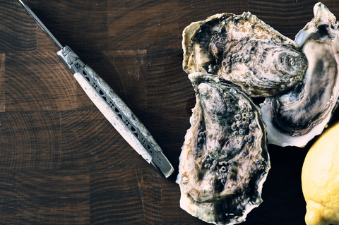 OYSTER KNIFE LAGUIOLE EN AUBRAC x HOUSE OF OYSTERS